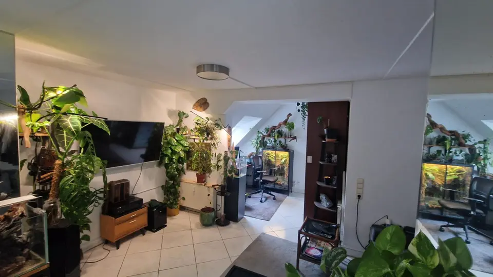 WG-Zimmer mit 55 m² in Frechen – Bild 2