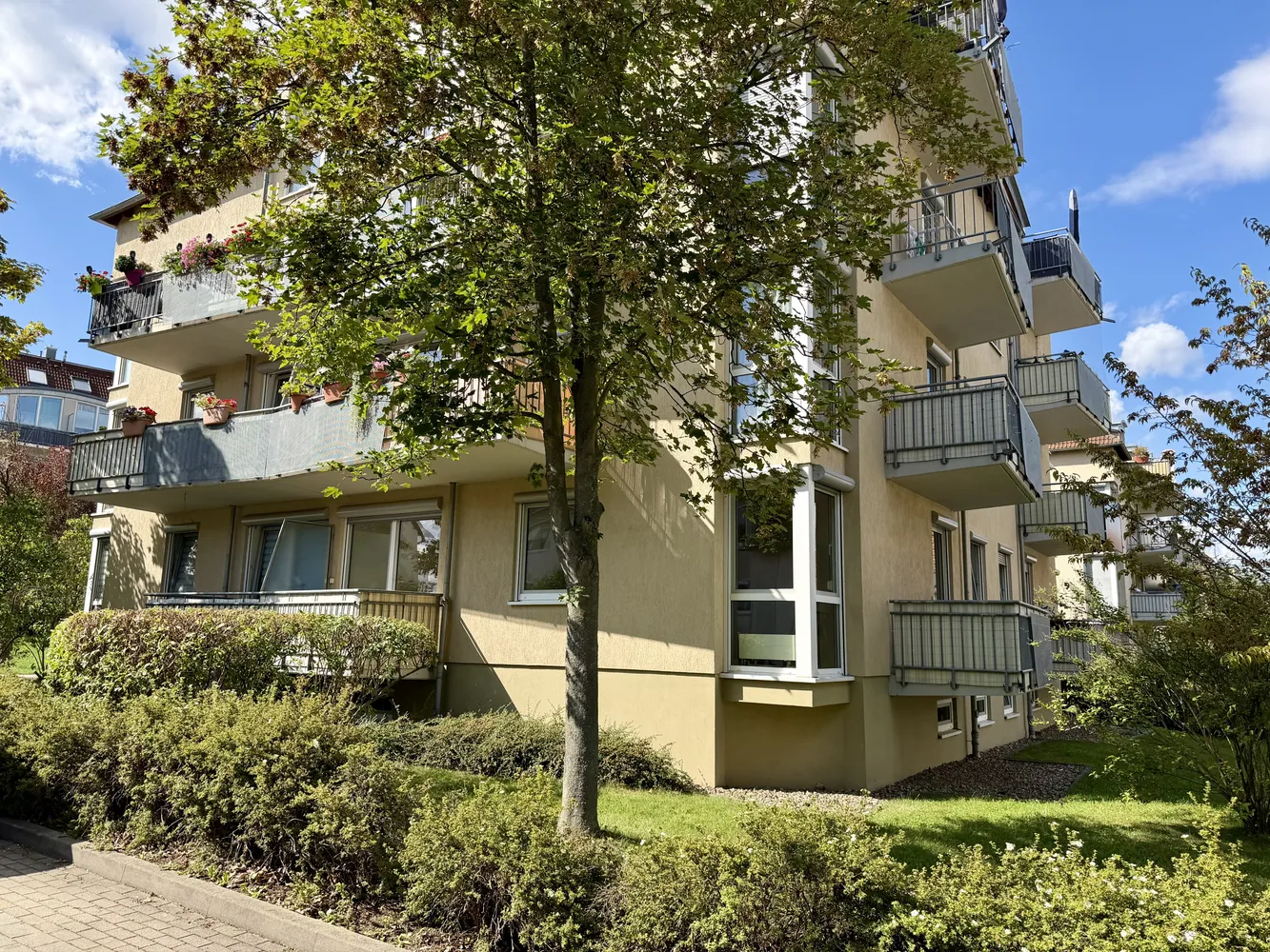 2 room apartment with 54 m² in Dresden – Photo 2