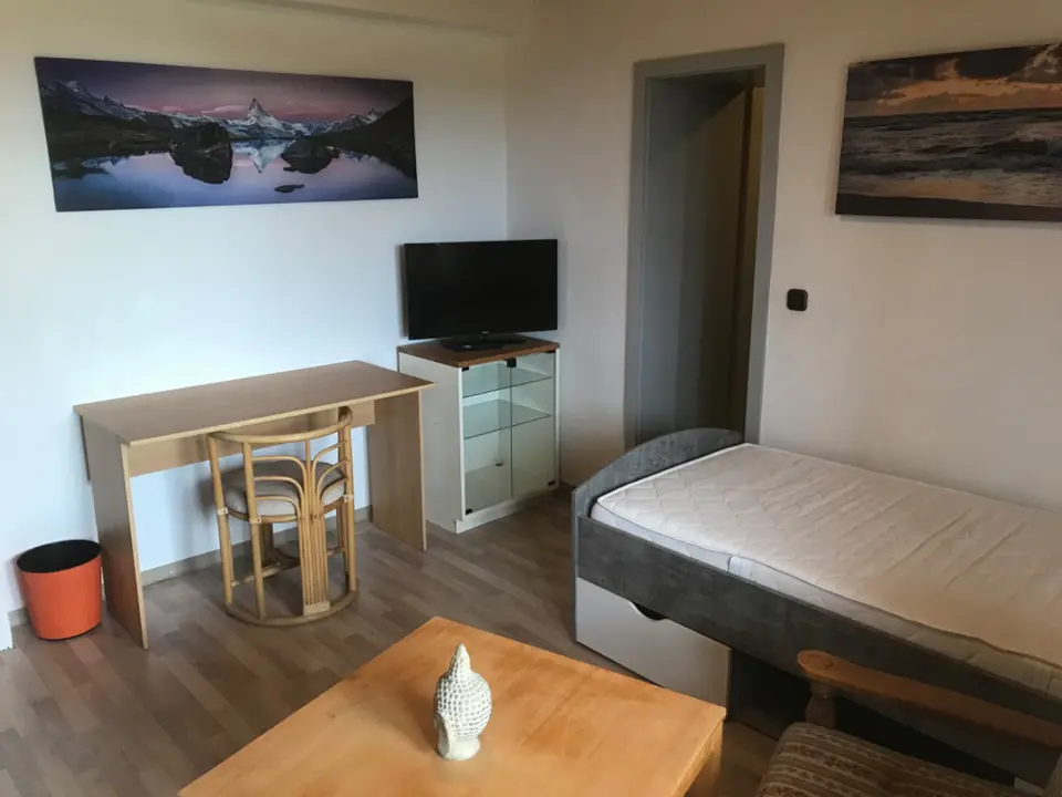 2 Zimmer Wohnung mit 20 m² in Viernheim – Bild 7