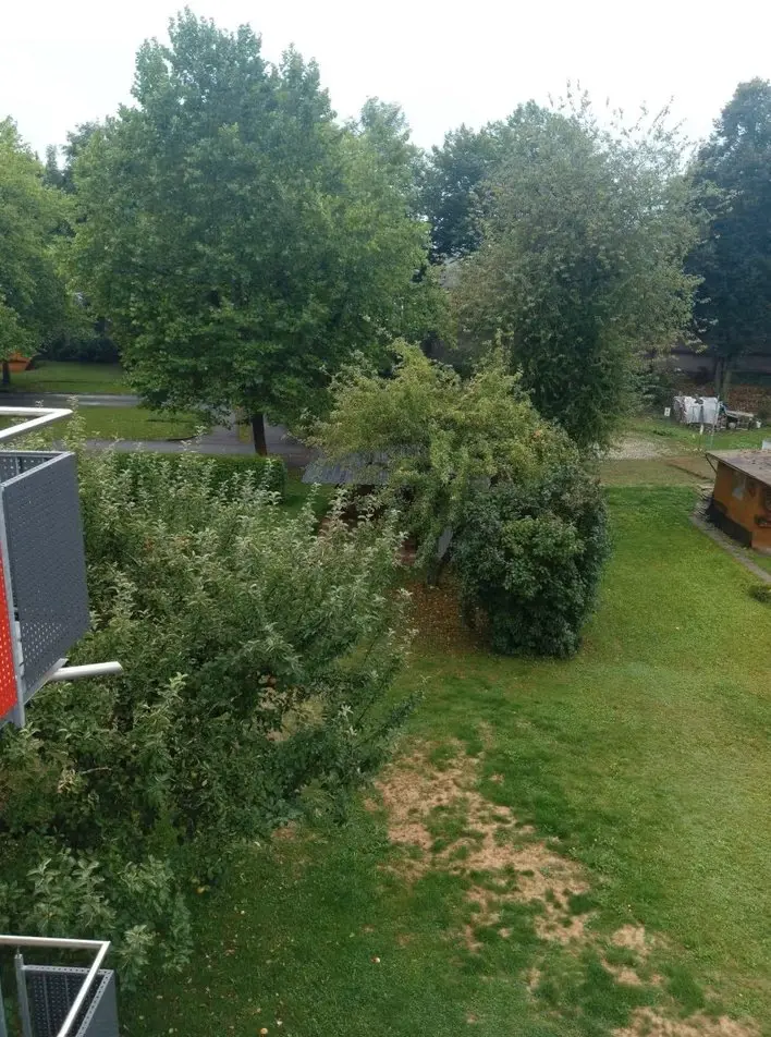 WG-Zimmer mit 30 m² in Singen – Bild 10