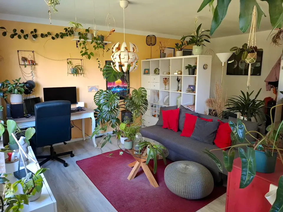 2 Zimmer Wohnung mit 49 m² in Hildesheim – Bild 1