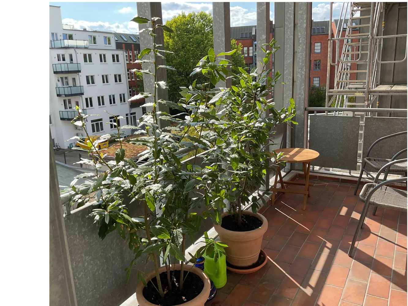2 Zimmer Wohnung mit 63 m² in Kiel – Bild 5