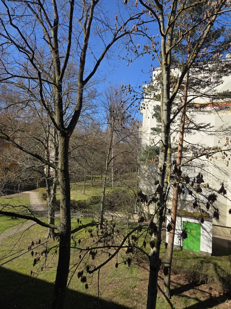 3 room apartment with 59 m² in Gotha – Photo 2