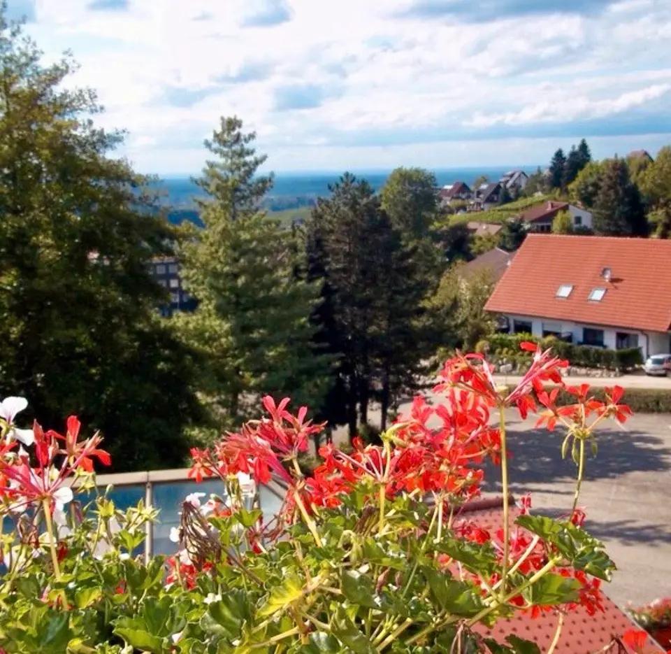 2 Zimmer Wohnung mit 20 m² in Bühl – Bild 6