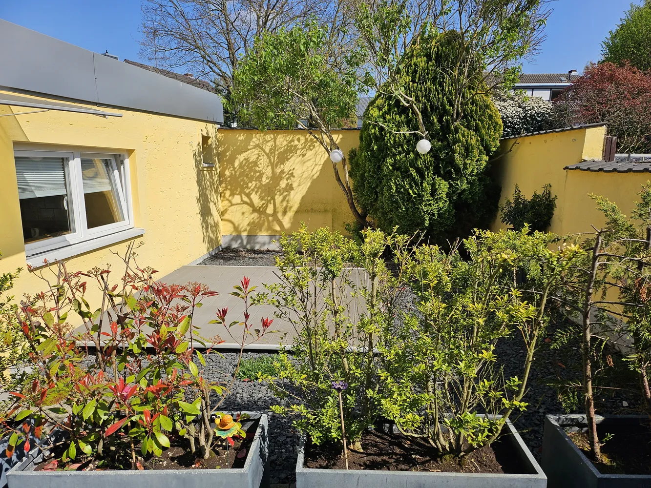 2 room apartment with 50 m² in Cologne – Photo 1