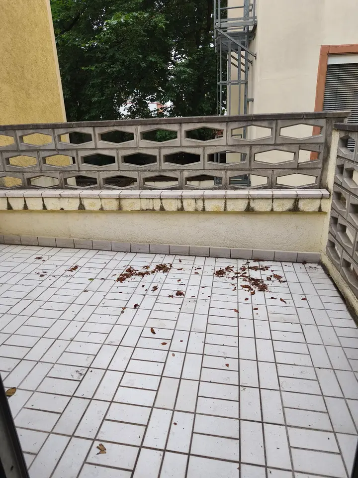 4 Zimmer Wohnung mit 120 m² in Mannheim – Bild 2