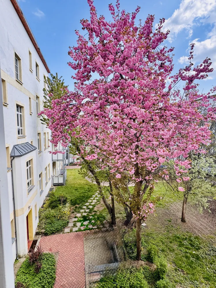 1 Zimmer Wohnung mit 20 m² in Magdeburg – Bild 4
