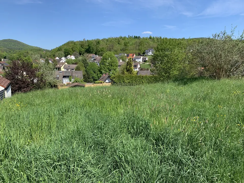 WG-Zimmer mit 40 m² in Miltenberg – Bild 10