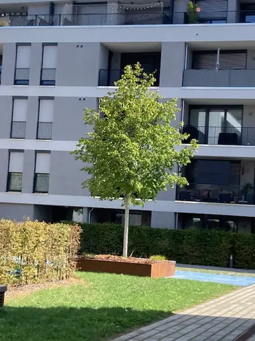 3 room apartment with 94 m² in Augsburg – Photo 1
