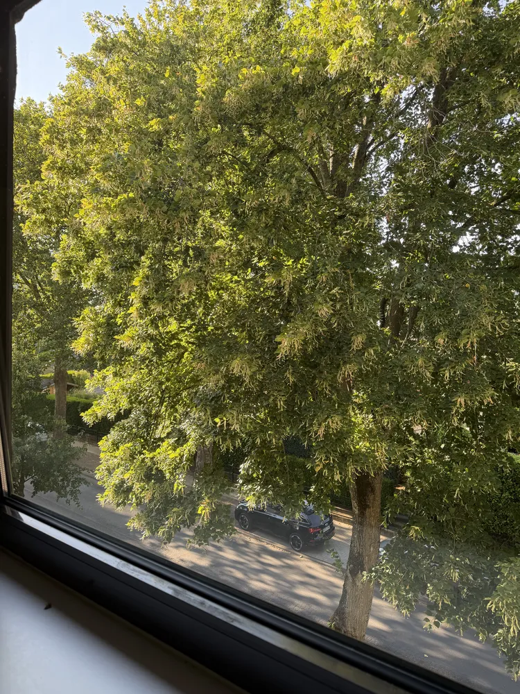 3 Zimmer Wohnung mit 54 m² in Bochum – Bild 5