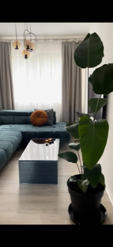 2 Zimmer Wohnung mit 56 m² in Berlin – Bild 4