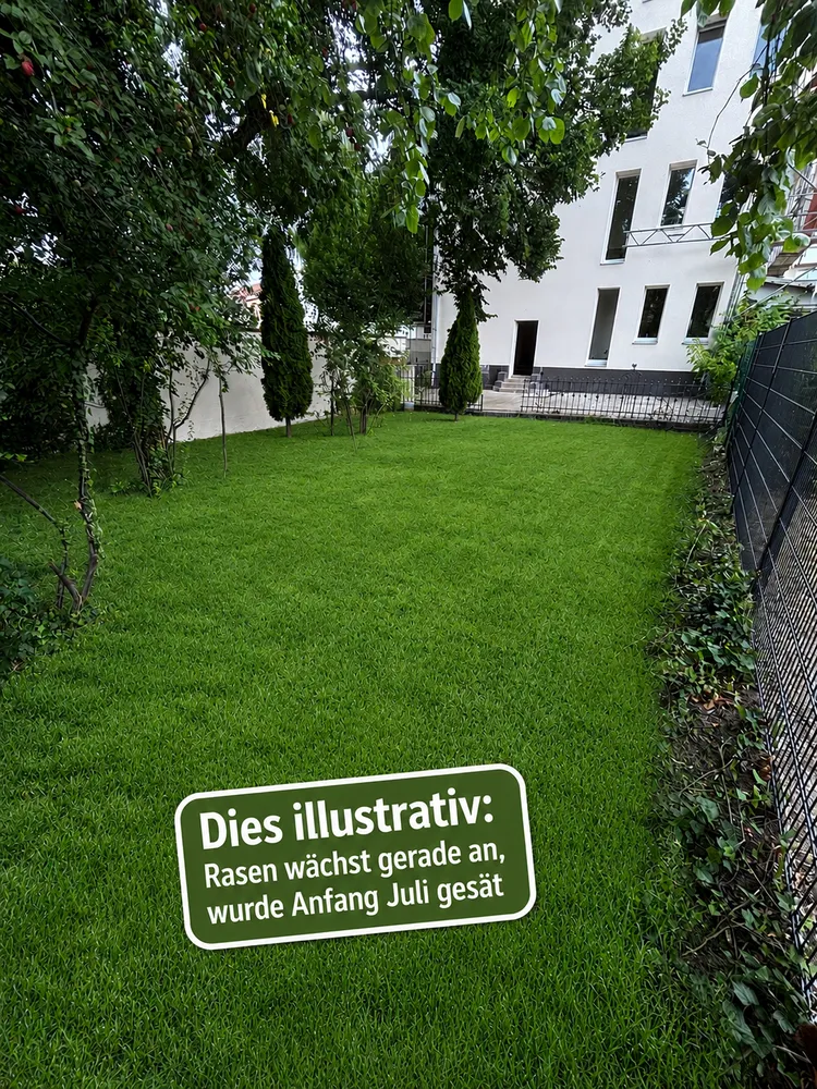 3 Zimmer Wohnung mit 95 m² in Fürstenwalde/Spree – Bild 2