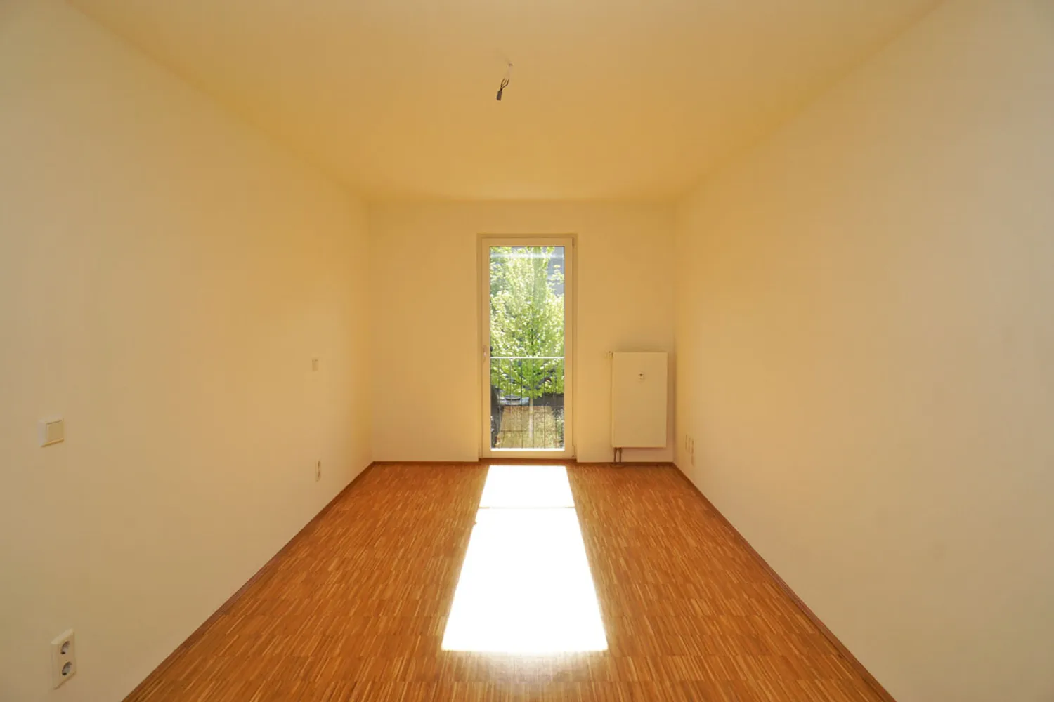 2 Zimmer Wohnung mit 60 m² in Dresden – Bild 2