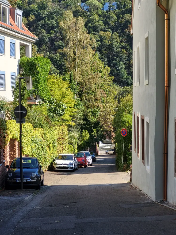 4 Zimmer Wohnung mit 100 m² in Heidelberg – Bild 9