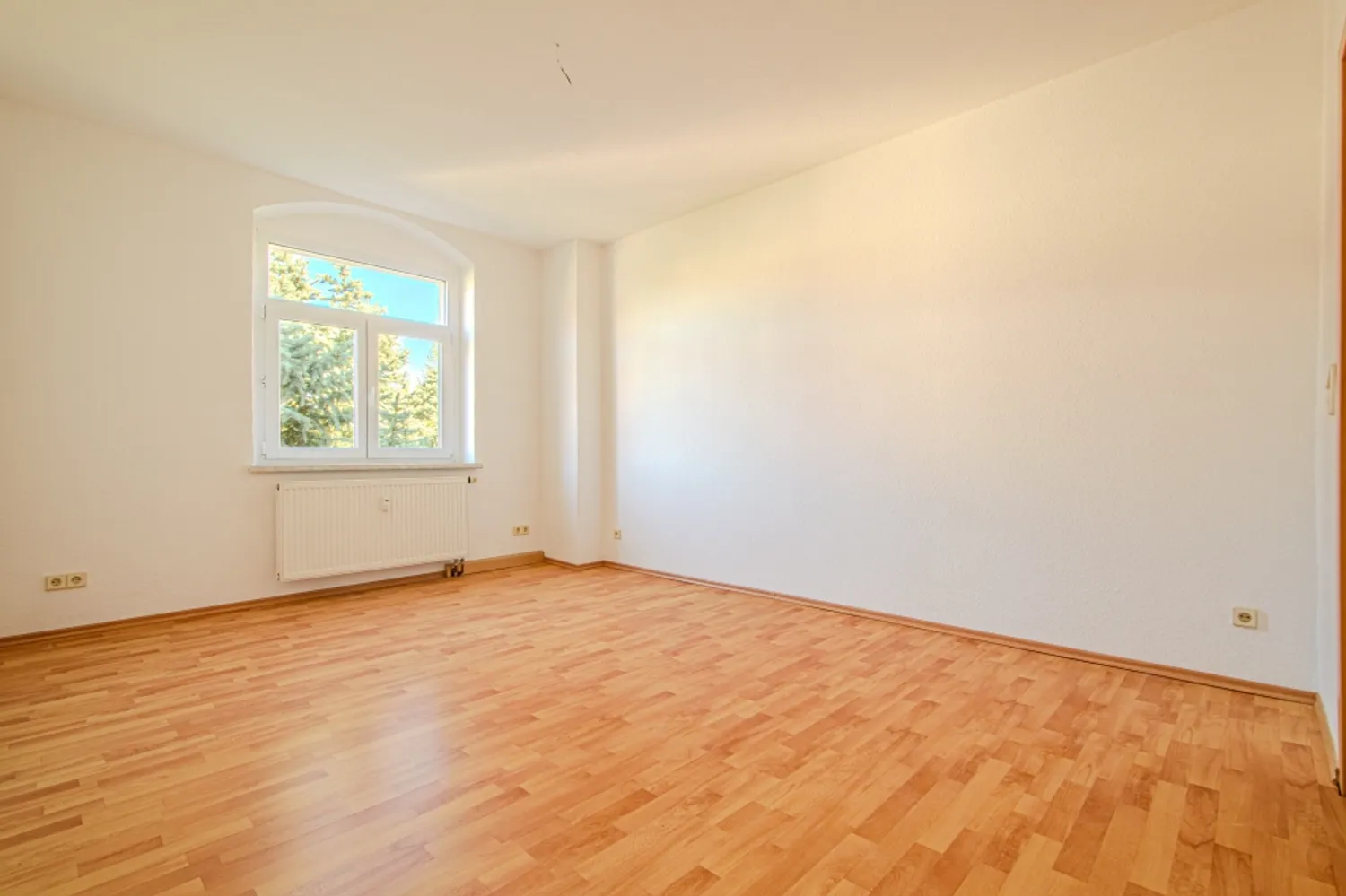 3 room apartment with 69 m² in Dresden – Photo 8