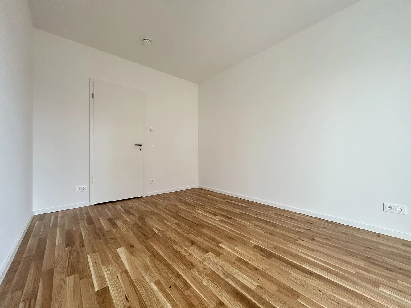 3 Zimmer Wohnung mit 91 m² in Dresden – Bild 9