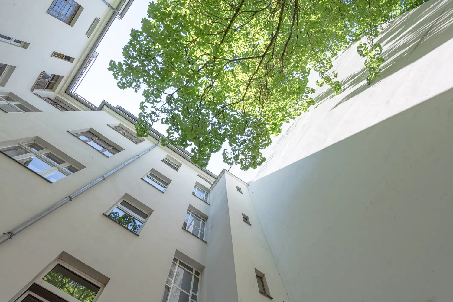 1 room apartment with 33 m² in Berlin – Photo 11