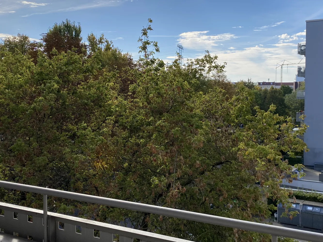 1 room apartment with 34 m² in Berlin – Photo 11