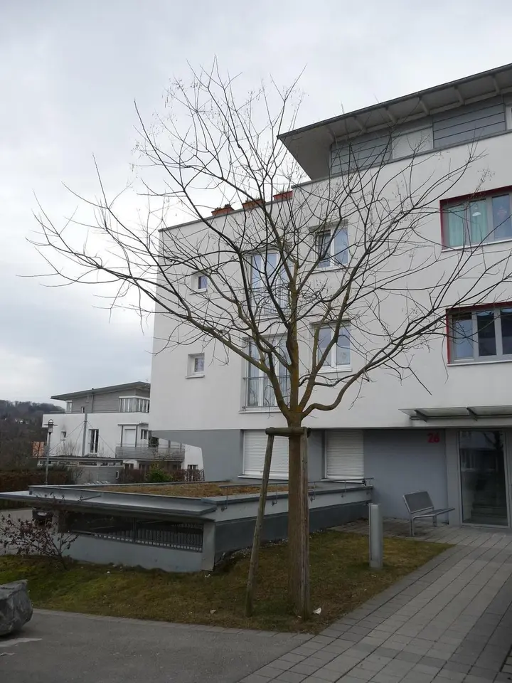4 Zimmer Wohnung mit 92 m² in Esslingen am Neckar – Bild 3