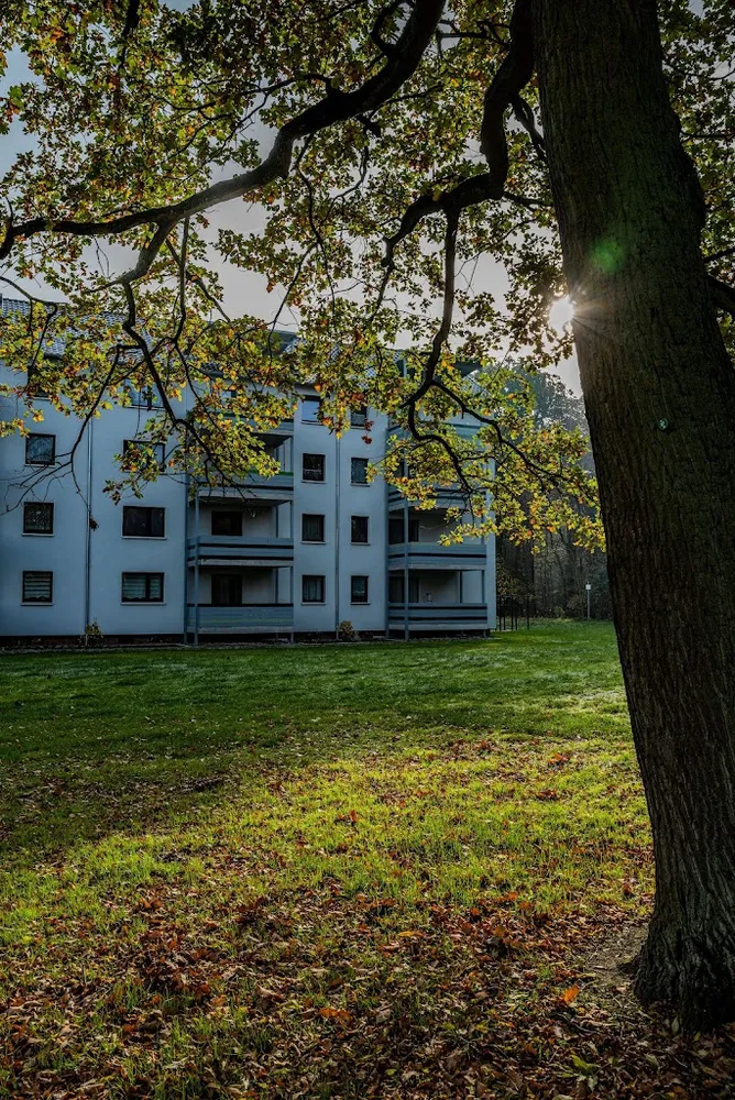 3 Zimmer Wohnung mit 65 m² in Wolfsburg – Bild 2