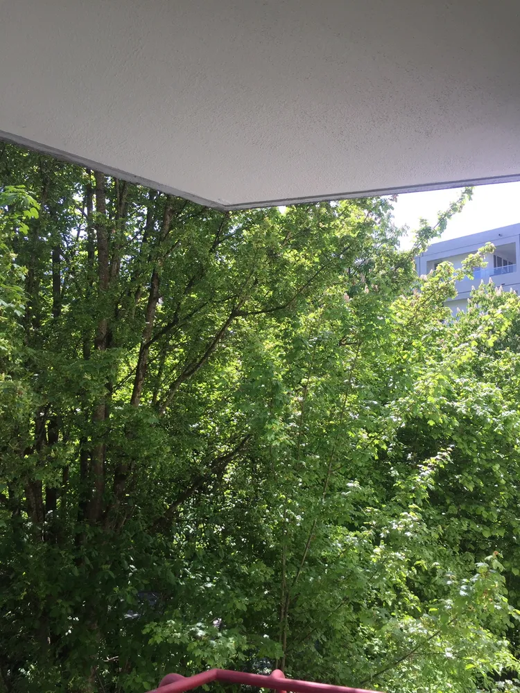 2 room apartment with 55 m² in Munich – Photo 8