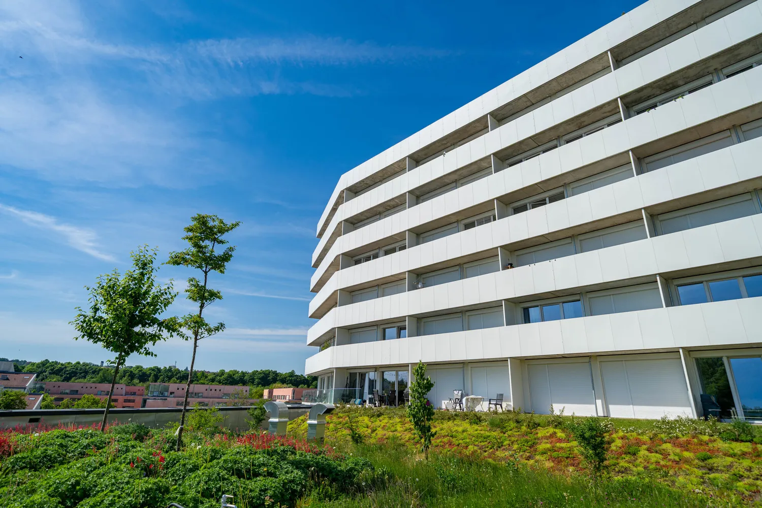 2 Zimmer Wohnung mit 53 m² in Regensburg – Bild 3