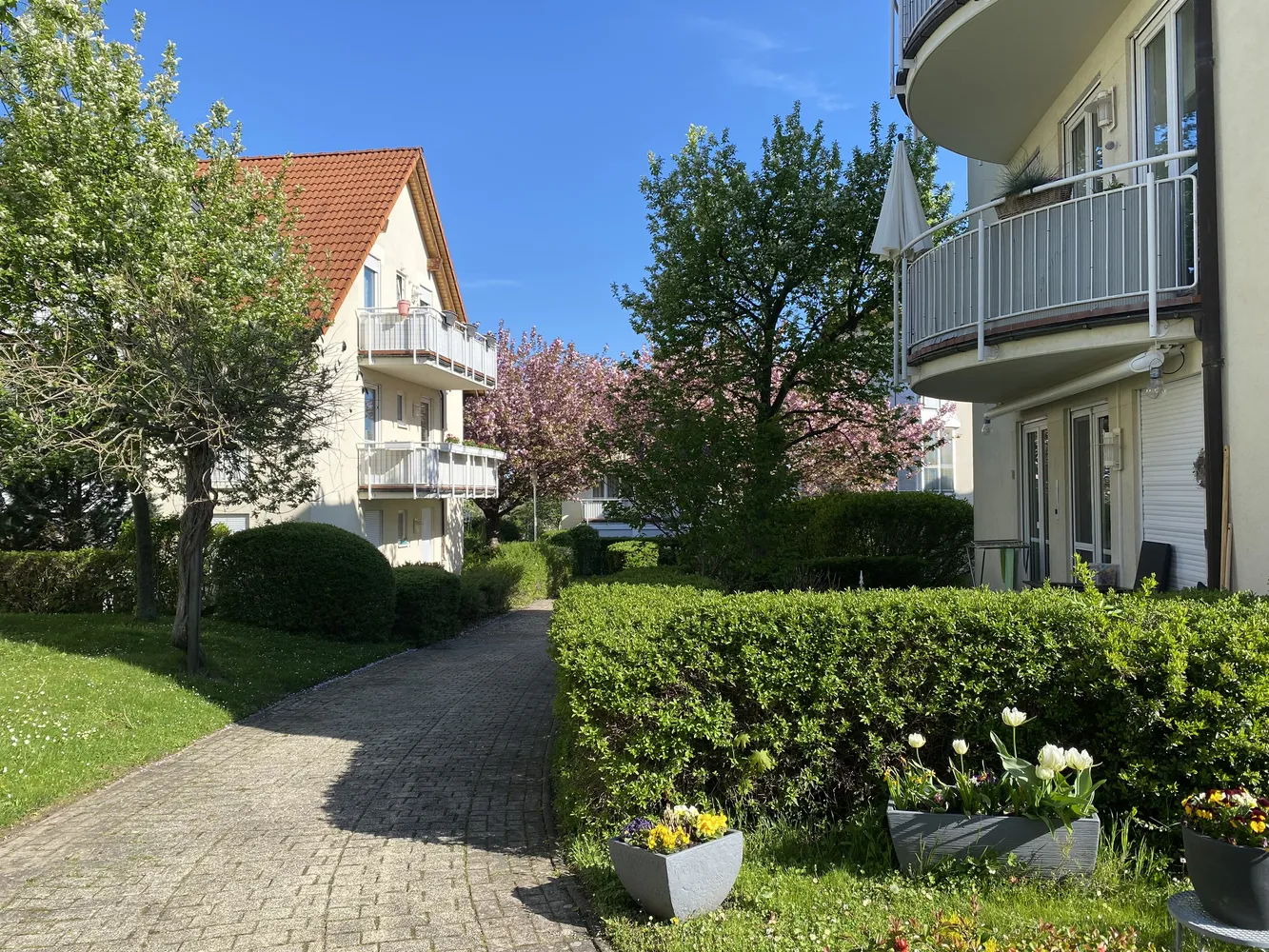 4 Zimmer Wohnung mit 74 m² in Erfurt – Bild 2