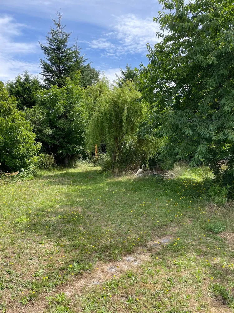 4 room house with 115 m² in Luckenwalde – Photo 2
