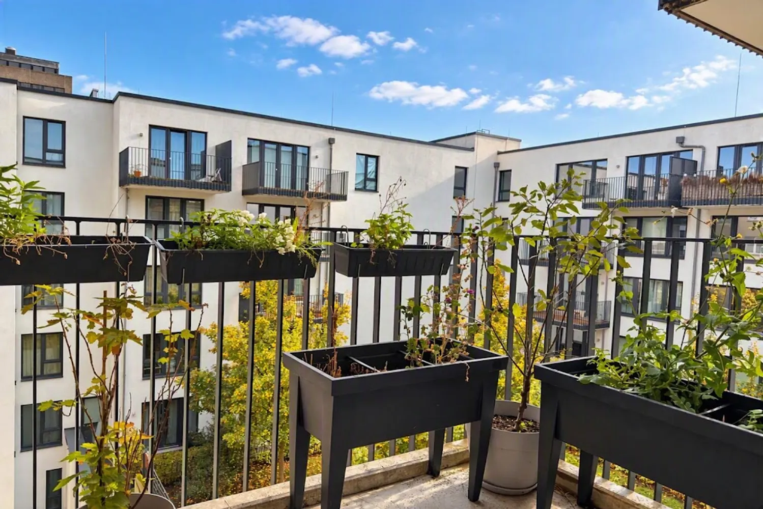 4 Zimmer Wohnung mit 116 m² in Hamburg – Bild 10