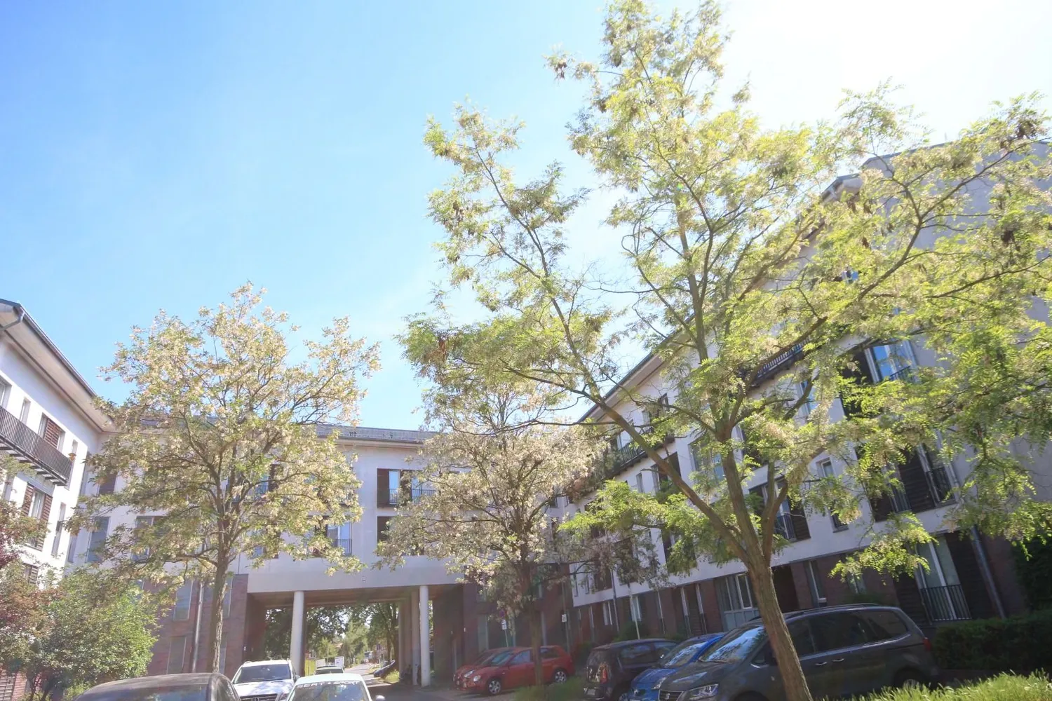 2 Zimmer Wohnung mit 77 m² in Berlin – Bild 1