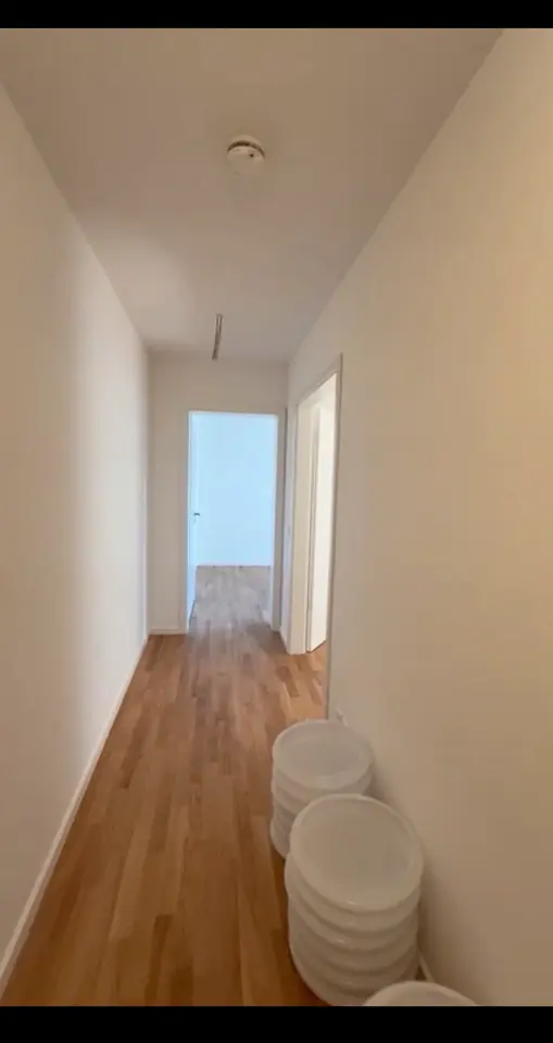 3 Zimmer Wohnung mit 77 m² in Dresden – Bild 6