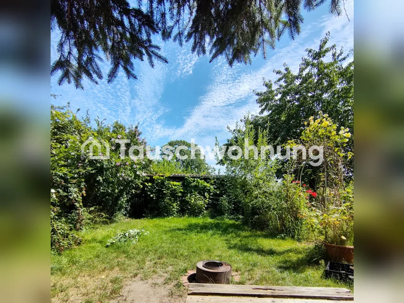 3 Zimmer Wohnung mit 74 m² in Dresden – Bild 2