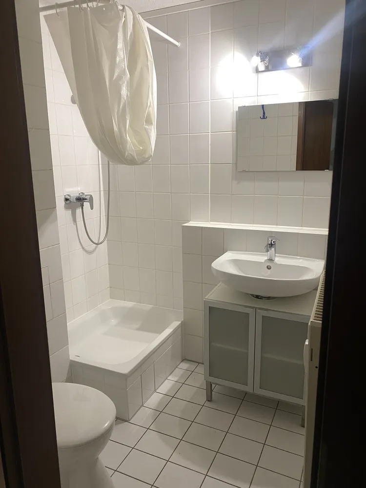 1 Zimmer Wohnung mit 24 m² in Mannheim – Bild 1