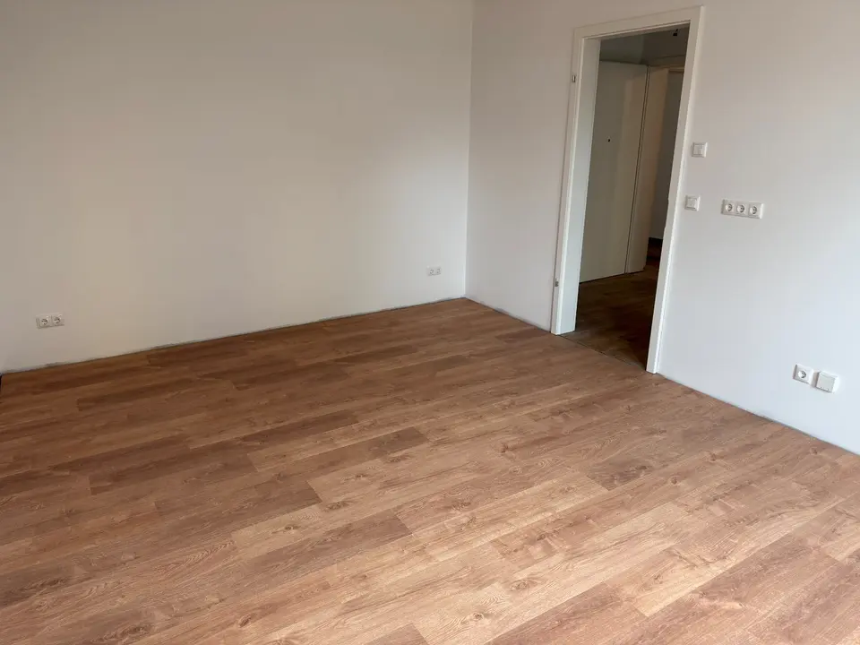 2 Zimmer Wohnung mit 31 m² in Dresden – Bild 3