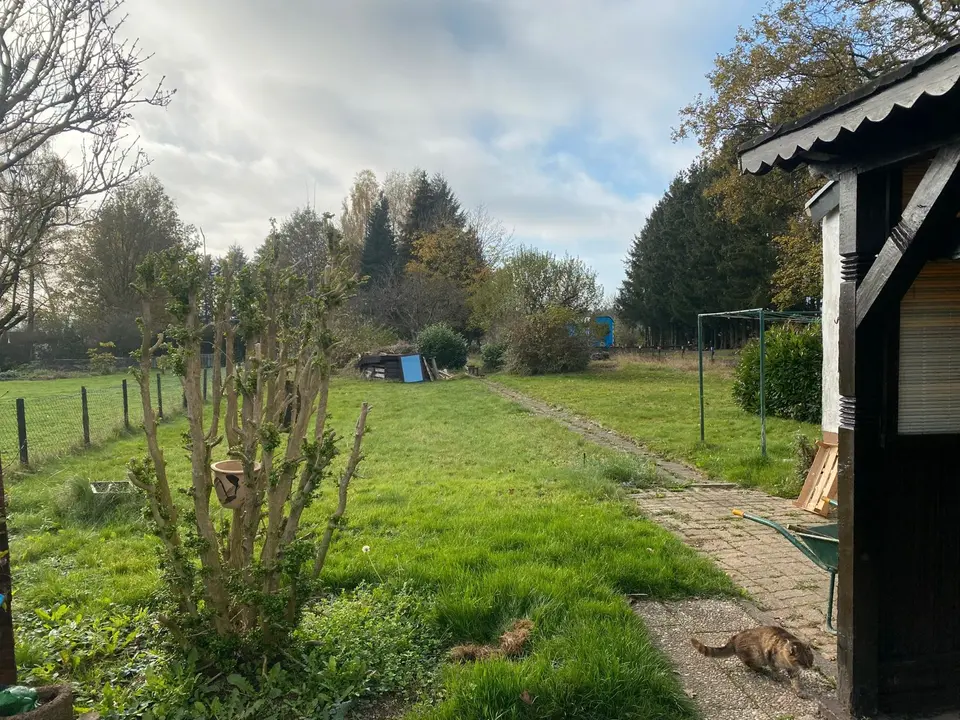 5 Zimmer Haus mit 95 m² in Trier – Bild 6