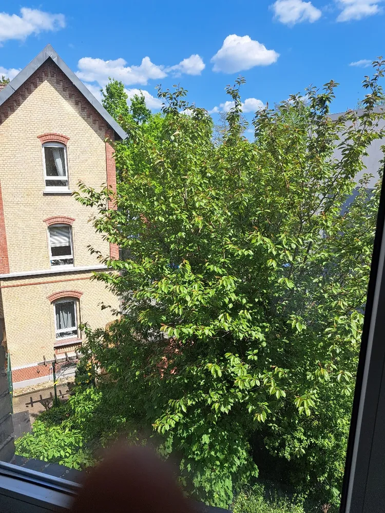 4 room apartment with 107 m² in Brunswick – Photo 10