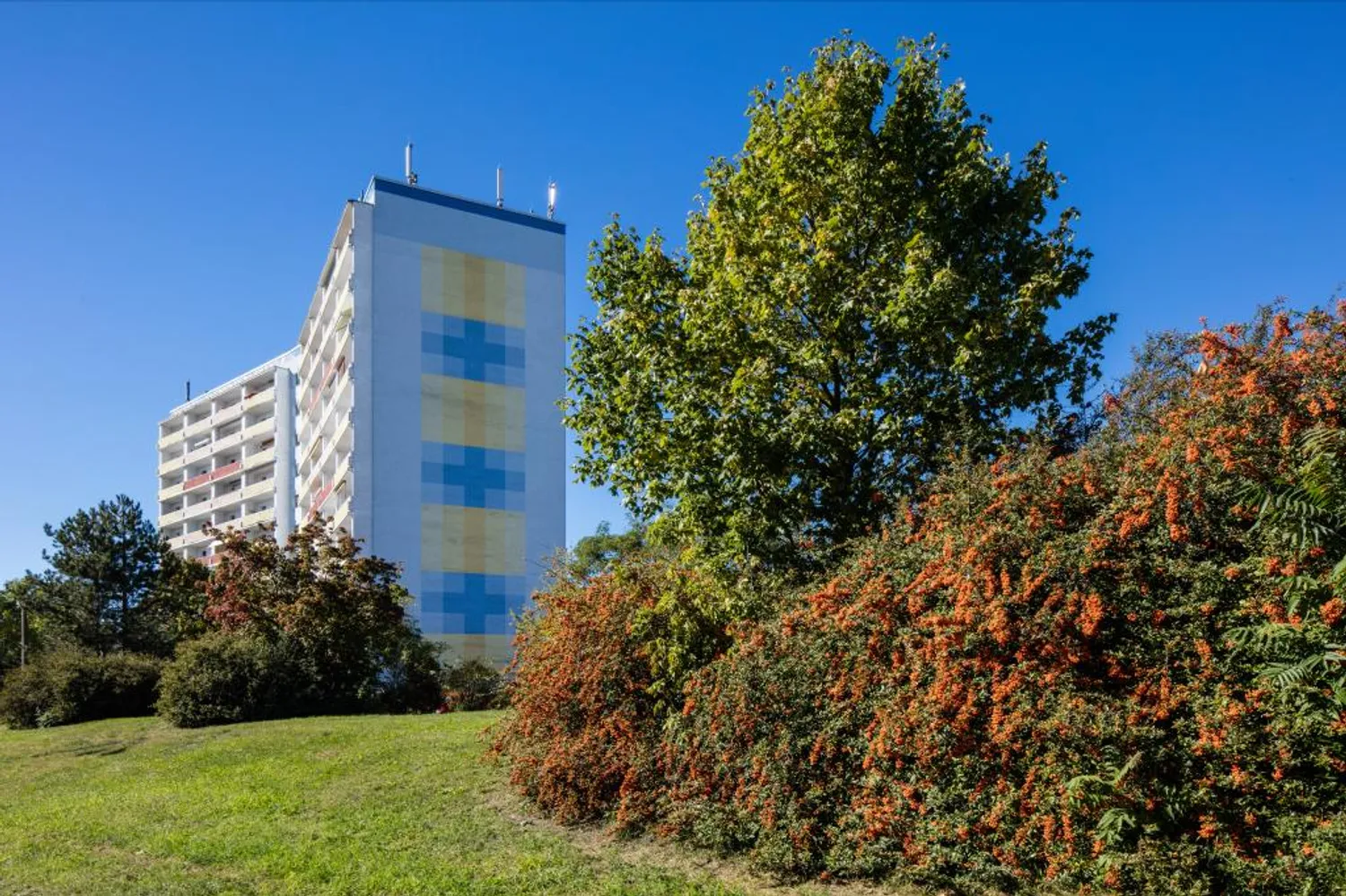 1 Zimmer Wohnung mit 36 m² in Brandenburg an der Havel – Bild 3
