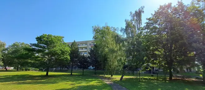 1 room apartment with 36 m² in Magdeburg – Photo 11