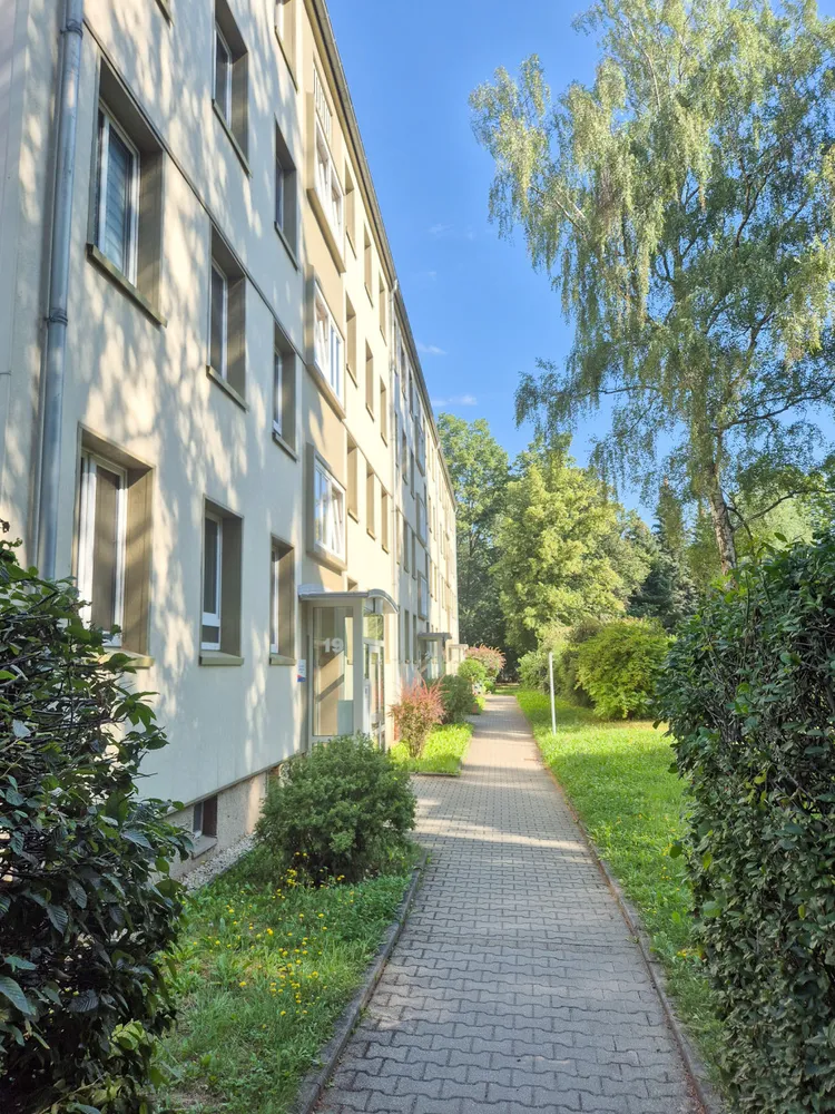 3 room apartment with 60 m² in Chemnitz – Photo 7