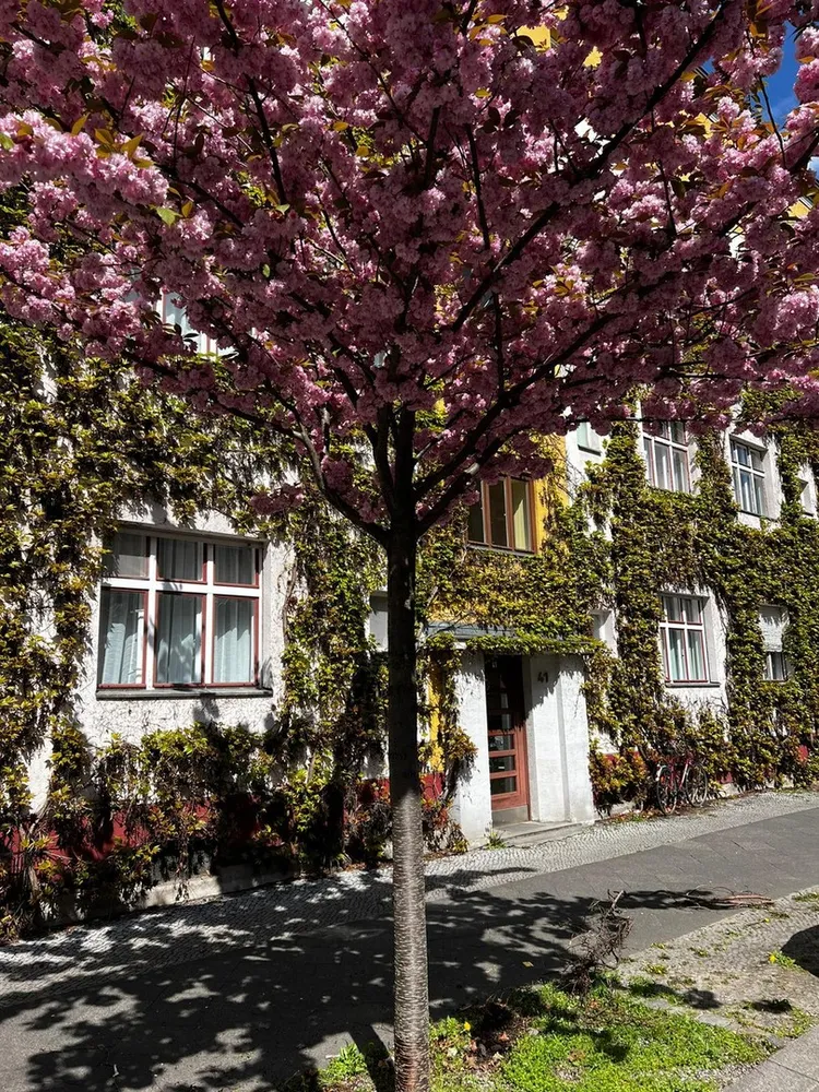 2 room apartment with 58 m² in Berlin – Photo 2