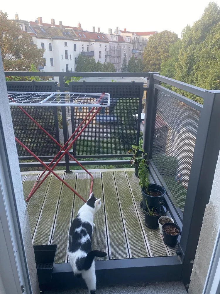 2 room apartment with 56 m² in Leipzig – Photo 4