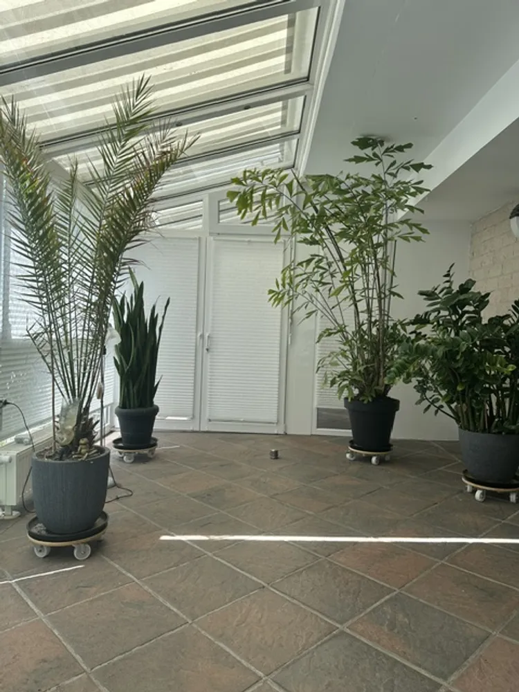 4 Zimmer Wohnung mit 150 m² in Düsseldorf – Bild 2