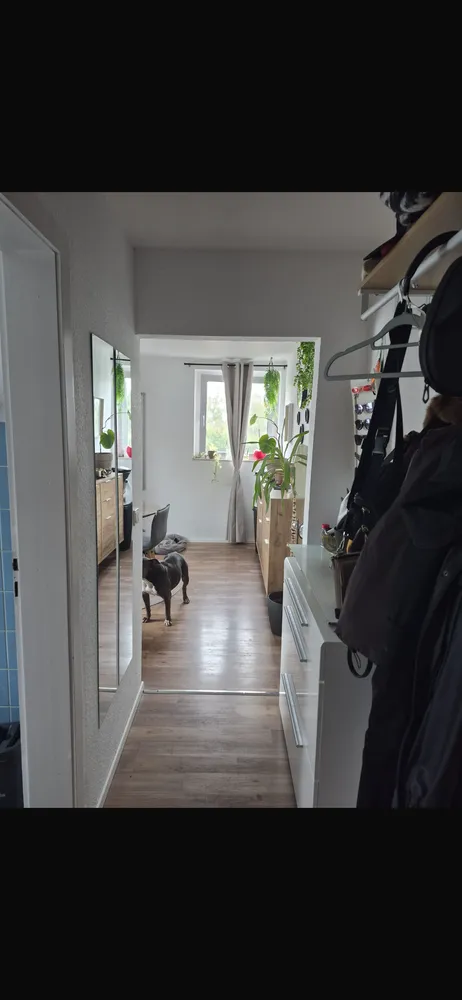 1 Zimmer Wohnung mit 60 m² in Hürth – Bild 2
