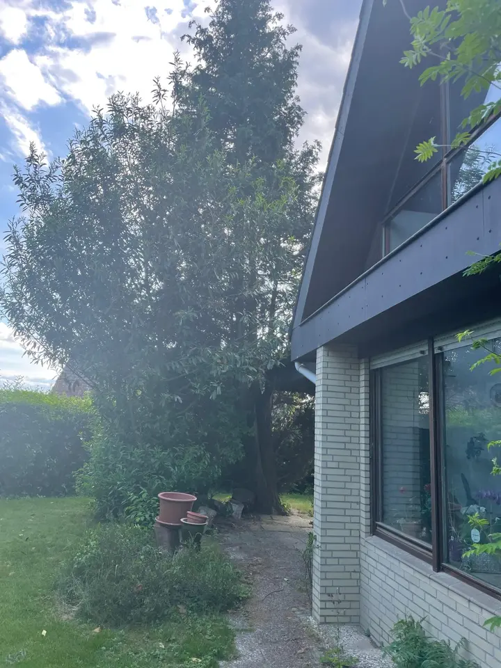 Shared room with 17 m² in Lüneburg – Photo 2