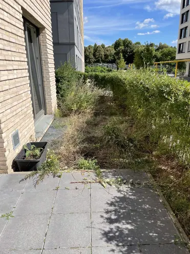 2 Zimmer Wohnung mit 81 m² in Berlin – Bild 2