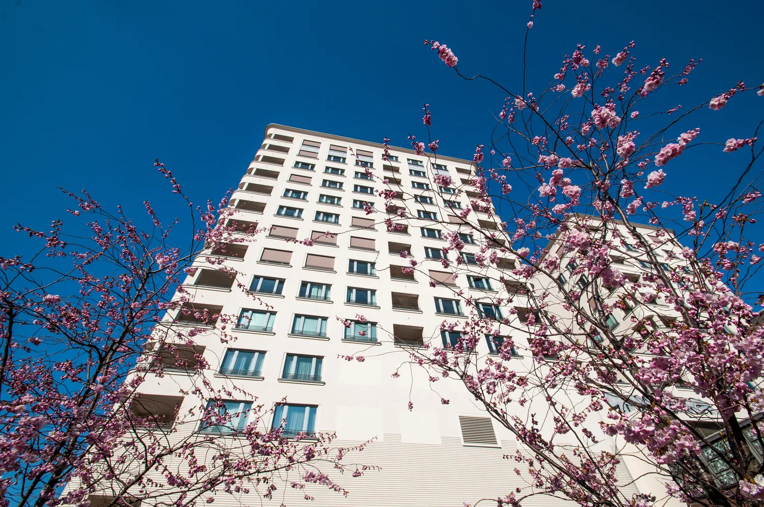 3 Zimmer Wohnung mit 120 m² in Berlin – Bild 9