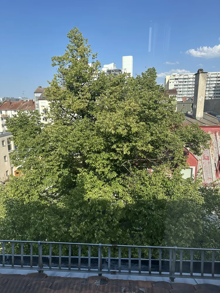 3 Zimmer Wohnung mit 58 m² in München – Bild 11