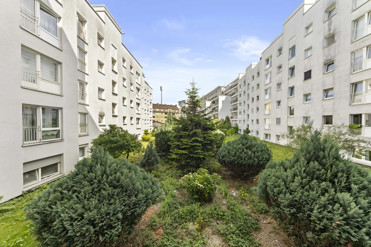 3 room apartment with 75 m² in Munich – Photo 8