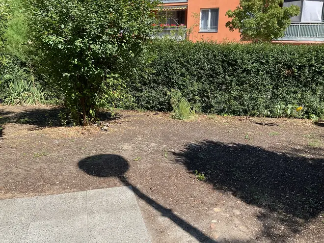 3 room apartment with 80 m² in Potsdam – Photo 4