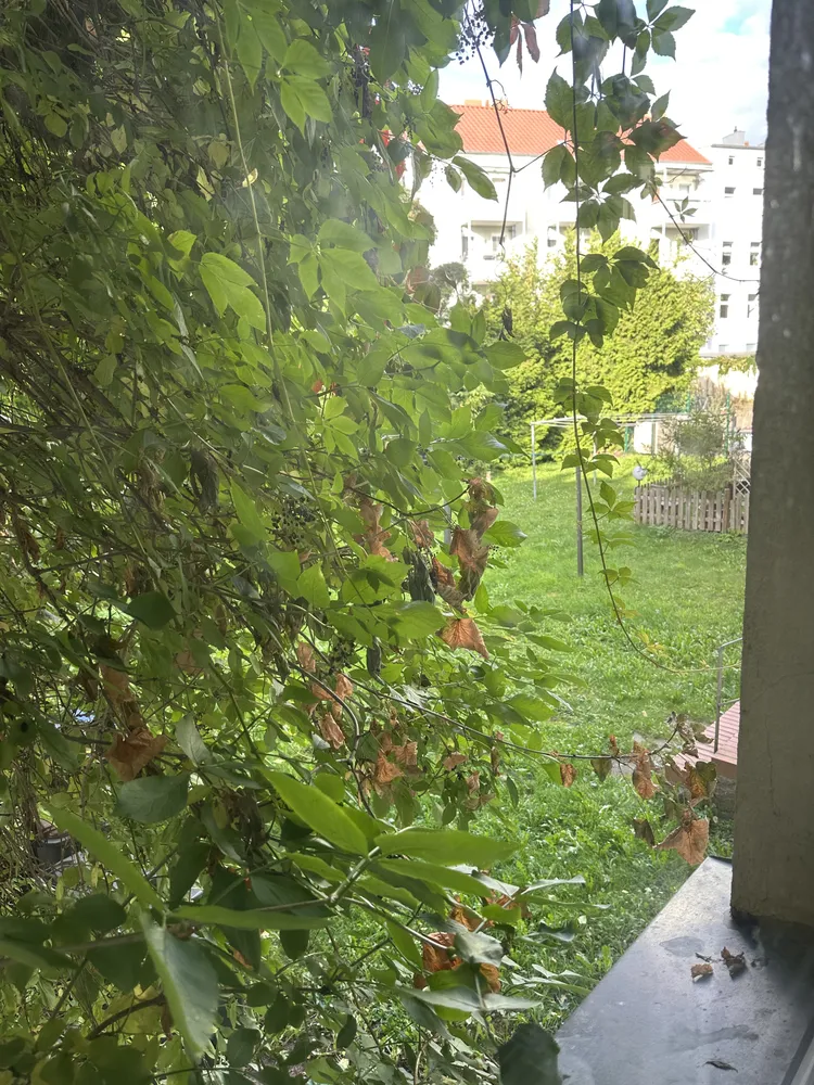 2 Zimmer Wohnung mit 56 m² in Brandenburg an der Havel – Bild 5